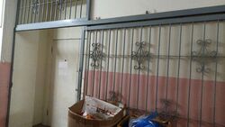 Kapo Factory Building (D13), Factory #622567501